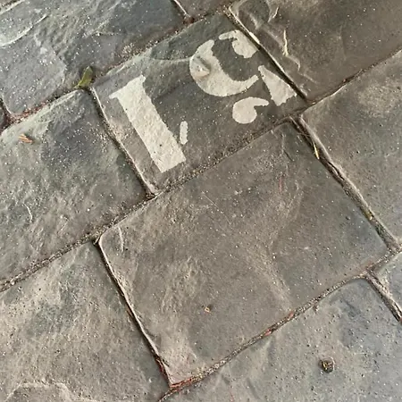 Duplex Premium Vista Real Appartement